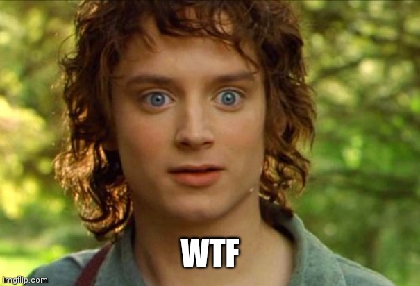 Surpised Frodo Meme | WTF | image tagged in memes,surpised frodo | made w/ Imgflip meme maker
