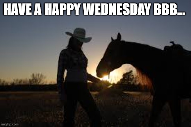 HAVE A HAPPY WEDNESDAY BBB... | made w/ Imgflip meme maker