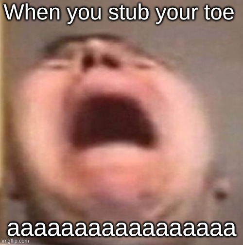 when u stub your toe | When you stub your toe; aaaaaaaaaaaaaaaaa | image tagged in relatable | made w/ Imgflip meme maker