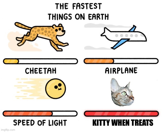 fastest thing possible | KITTY WHEN TREATS | image tagged in fastest thing possible | made w/ Imgflip meme maker