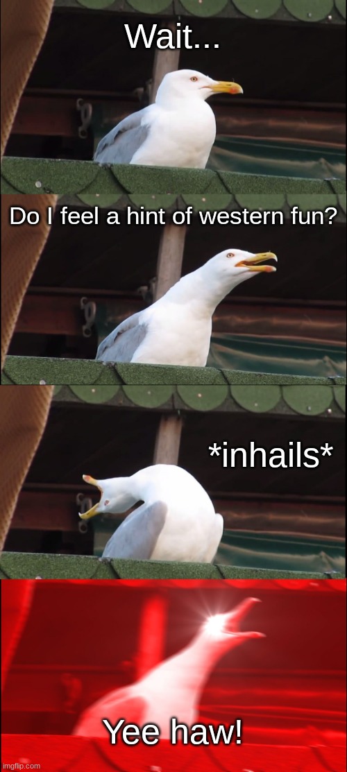 Country Week (pt. 8) | Wait... Do I feel a hint of western fun? *inhails*; Yee haw! | image tagged in memes,inhaling seagull | made w/ Imgflip meme maker