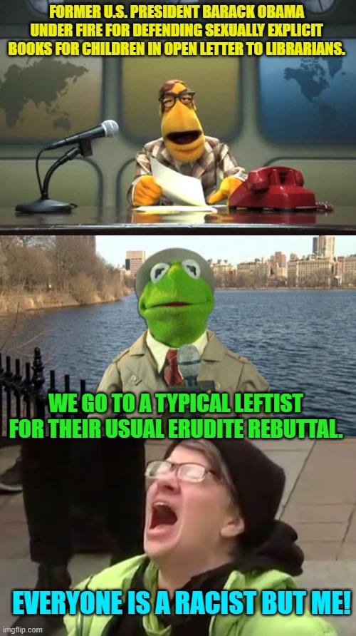 Essentially . . . yes; that has been the response. | FORMER U.S. PRESIDENT BARACK OBAMA UNDER FIRE FOR DEFENDING SEXUALLY EXPLICIT BOOKS FOR CHILDREN IN OPEN LETTER TO LIBRARIANS. WE GO TO A TYPICAL LEFTIST FOR THEIR USUAL ERUDITE REBUTTAL. EVERYONE IS A RACIST BUT ME! | image tagged in muppet news flash | made w/ Imgflip meme maker