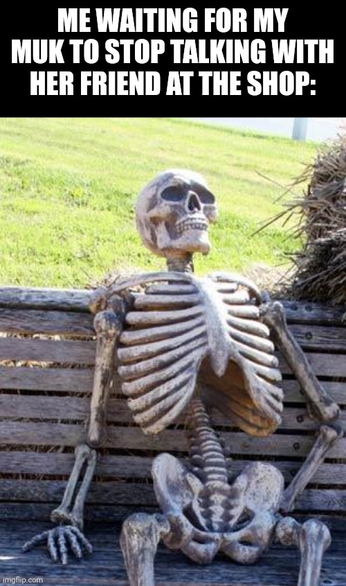☠️☠️☠️☠️ | ME WAITING FOR MY MUK TO STOP TALKING WITH HER FRIEND AT THE SHOP: | image tagged in memes,waiting skeleton,relatable,so true memes,bruh | made w/ Imgflip meme maker