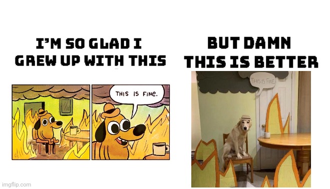 This Is Fine but recreated in real life | image tagged in im so glad i grew up with this but damn this is better,memes,this is fine,real life | made w/ Imgflip meme maker