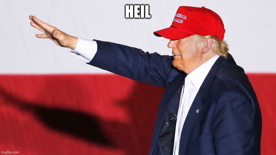 Trump Nazi Salute | HEIL | image tagged in trump nazi salute | made w/ Imgflip meme maker