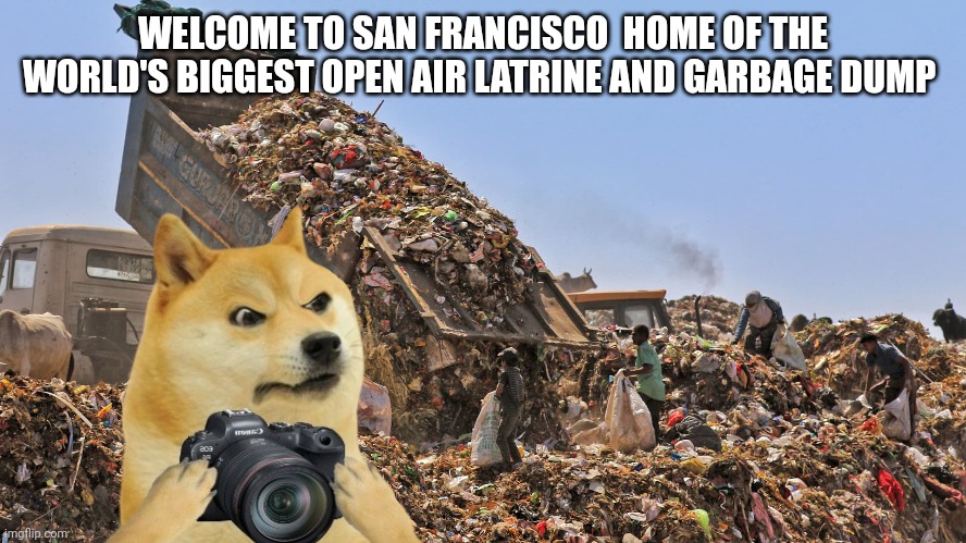 San francisco | WELCOME TO SAN FRANCISCO  HOME OF THE WORLD'S BIGGEST OPEN AIR LATRINE AND GARBAGE DUMP | image tagged in dog memes | made w/ Imgflip meme maker