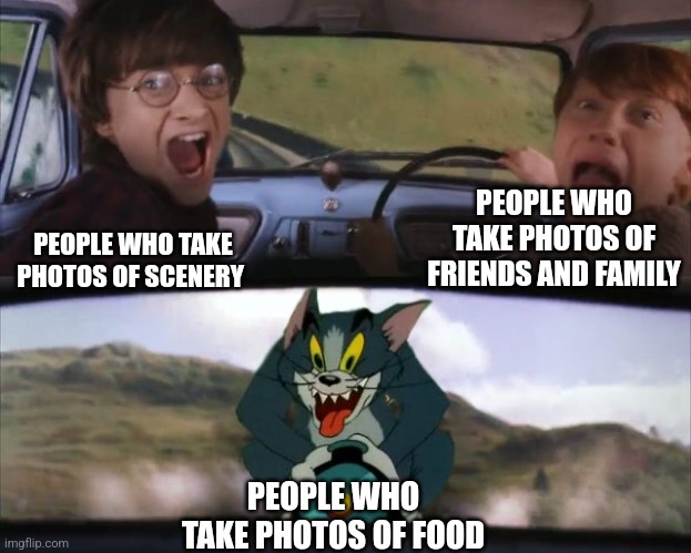 WHY | PEOPLE WHO TAKE PHOTOS OF FRIENDS AND FAMILY; PEOPLE WHO TAKE PHOTOS OF SCENERY; PEOPLE WHO TAKE PHOTOS OF FOOD | image tagged in tom chasing harry and ron weasly | made w/ Imgflip meme maker