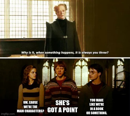 Always you three | YOU MAKE LIKE WE'RE IN A BOOK OR SOMETHING. UM, CAUSE WE'RE THE MAIN CHARACTERS? SHE'S GOT A POINT | image tagged in always you three,4th wall,harry potter | made w/ Imgflip meme maker