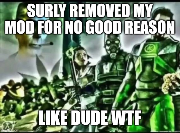 weed life 2 | SURLY REMOVED MY MOD FOR NO GOOD REASON; LIKE DUDE WTF | image tagged in weed life 2 | made w/ Imgflip meme maker