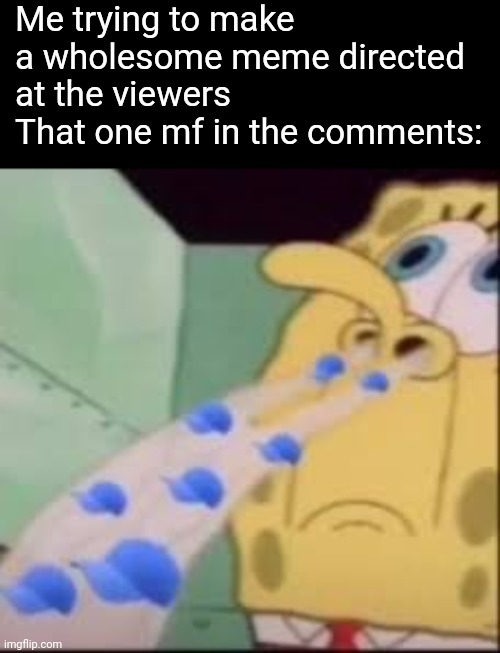 "nO oNe iS NiCe oN dA iNtErNeT!!!!" (me trying to be nice) | Me trying to make a wholesome meme directed at the viewers
That one mf in the comments: | image tagged in i smell cap | made w/ Imgflip meme maker