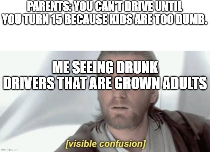 Drunk Drivers VS Kids | PARENTS: YOU CAN'T DRIVE UNTIL YOU TURN 15 BECAUSE KIDS ARE TOO DUMB. ME SEEING DRUNK DRIVERS THAT ARE GROWN ADULTS | image tagged in visible confusion | made w/ Imgflip meme maker