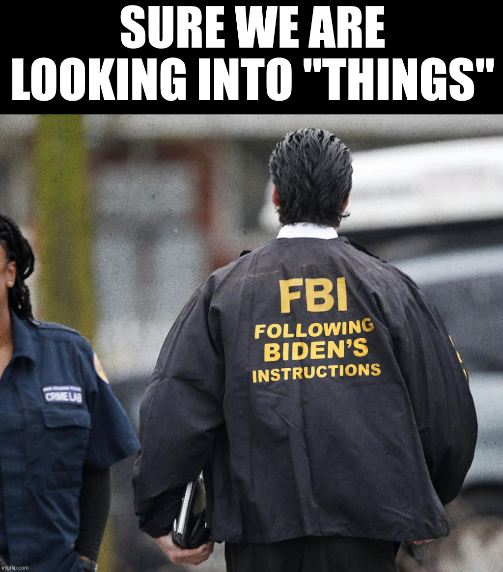 SURE WE ARE LOOKING INTO "THINGS" | image tagged in political meme | made w/ Imgflip meme maker