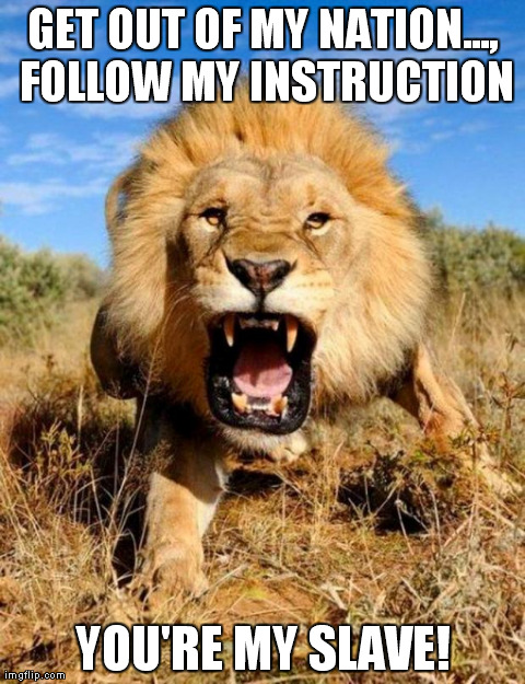 lion | GET OUT OF MY NATION..., FOLLOW MY INSTRUCTION YOU'RE MY SLAVE! | image tagged in lion | made w/ Imgflip meme maker