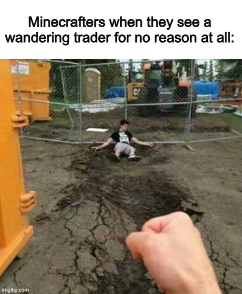 Why do we do this? :( | Minecrafters when they see a wandering trader for no reason at all: | image tagged in punch | made w/ Imgflip meme maker