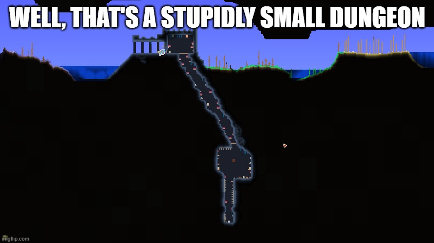 That's our dungeon on the server I made for the stream, not much going on inside | WELL, THAT'S A STUPIDLY SMALL DUNGEON | image tagged in terraria | made w/ Imgflip meme maker