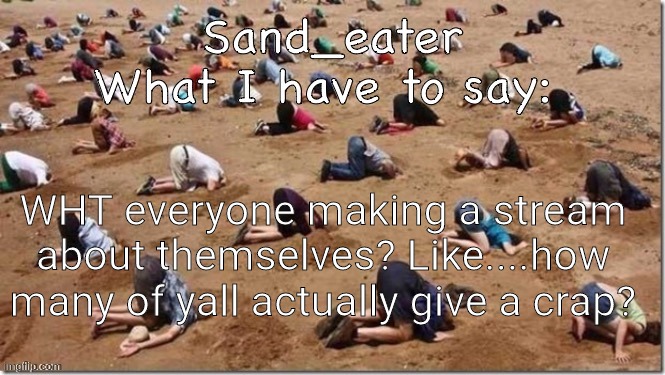 Sand_eater announcement | WHT everyone making a stream about themselves? Like....how many of yall actually give a crap? | image tagged in sand_eater announcement | made w/ Imgflip meme maker