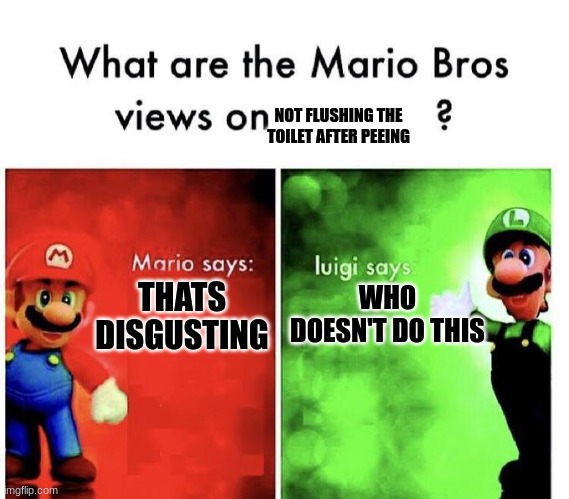 its bad i know | NOT FLUSHING THE TOILET AFTER PEEING; THATS DISGUSTING; WHO DOESN'T DO THIS | image tagged in mario bros views | made w/ Imgflip meme maker