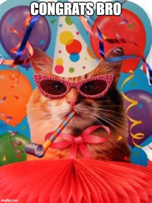 Cat Celebration! | CONGRATS BRO | image tagged in cat celebration | made w/ Imgflip meme maker
