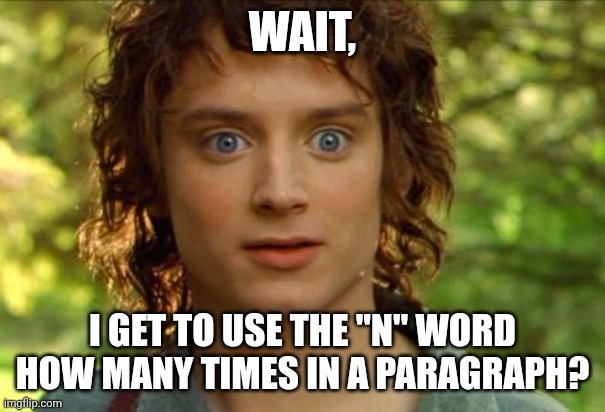 Surpised Frodo Meme | WAIT, I GET TO USE THE "N" WORD HOW MANY TIMES IN A PARAGRAPH? | image tagged in memes,surpised frodo | made w/ Imgflip meme maker