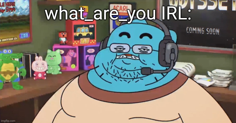 discord moderator | what_are_you IRL: | image tagged in discord moderator | made w/ Imgflip meme maker