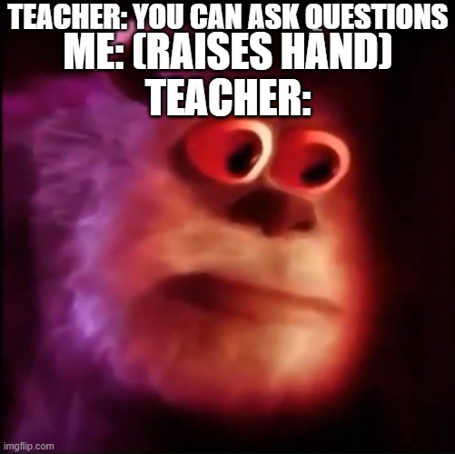 It's true | TEACHER: YOU CAN ASK QUESTIONS; ME: (RAISES HAND); TEACHER: | image tagged in monster inc,sad but true | made w/ Imgflip meme maker