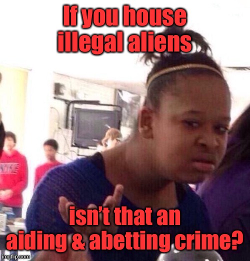 Black Girl Wat Meme | If you house illegal aliens isn’t that an aiding & abetting crime? | image tagged in memes,black girl wat | made w/ Imgflip meme maker