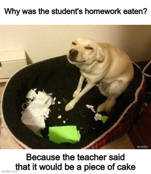 Didn't really taste like it tho... | Why was the student's homework eaten? Because the teacher said that it would be a piece of cake | image tagged in dog homework | made w/ Imgflip meme maker