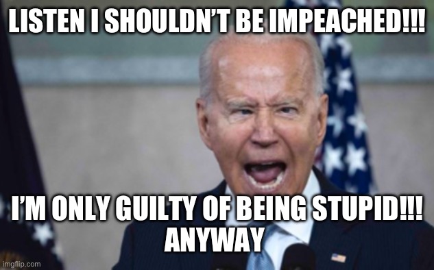 Biden Scream | LISTEN I SHOULDN’T BE IMPEACHED!!! I’M ONLY GUILTY OF BEING STUPID!!!
ANYWAY | image tagged in biden scream | made w/ Imgflip meme maker
