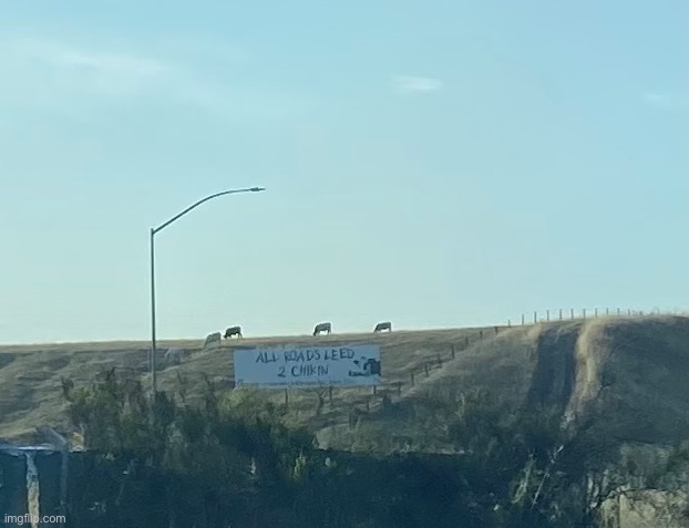 perfect billboard placement | image tagged in funny,chick-fil-a,picture,luv the cows,billboard | made w/ Imgflip meme maker