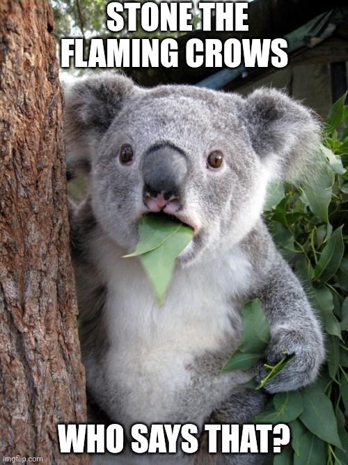 Surprised Koala | STONE THE FLAMING CROWS; WHO SAYS THAT? | image tagged in memes,surprised koala | made w/ Imgflip meme maker