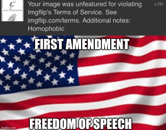 FIRST AMENDMENT; FREEDOM OF SPEECH | made w/ Imgflip meme maker