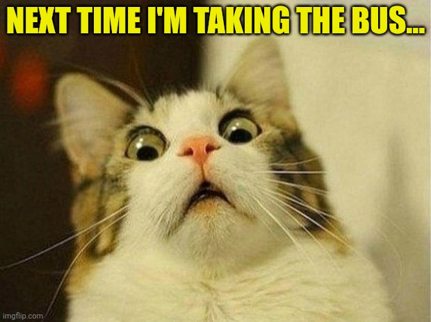 Scared Cat Meme | NEXT TIME I'M TAKING THE BUS... | image tagged in memes,scared cat | made w/ Imgflip meme maker
