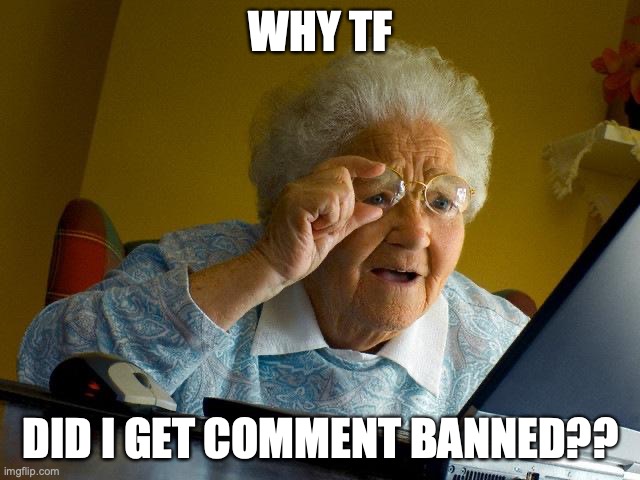 I DIDN’T DO CRAP | WHY TF; DID I GET COMMENT BANNED?? | image tagged in memes,grandma finds the internet | made w/ Imgflip meme maker
