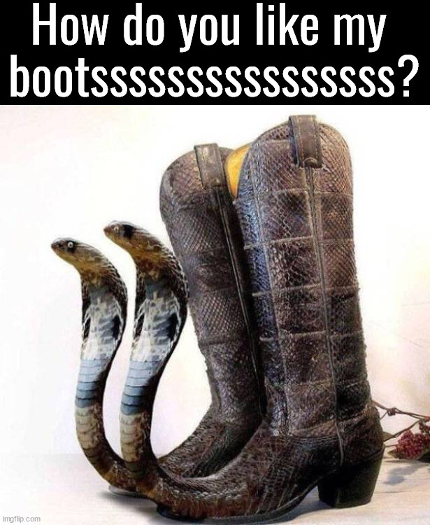 Slithering my way into your heart | How do you like my 
bootssssssssssssssss? | image tagged in snakes,boots,awesome,i need it,shut up and take my money | made w/ Imgflip meme maker
