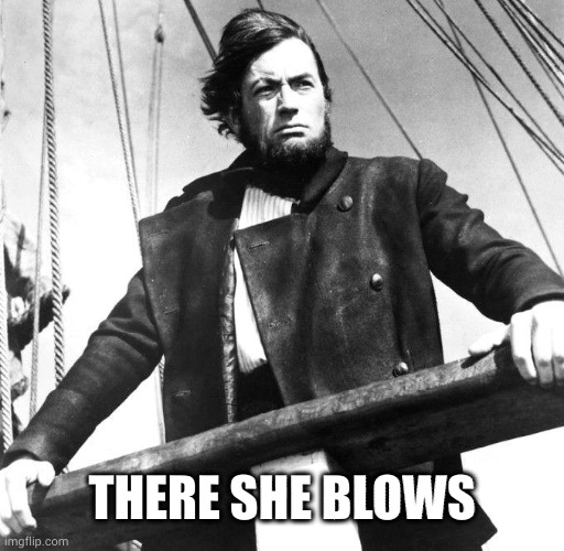 Captain Ahab | THERE SHE BLOWS | image tagged in captain ahab | made w/ Imgflip meme maker