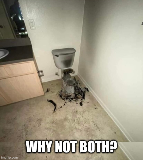 exploded toilet | WHY NOT BOTH? | image tagged in exploded toilet | made w/ Imgflip meme maker