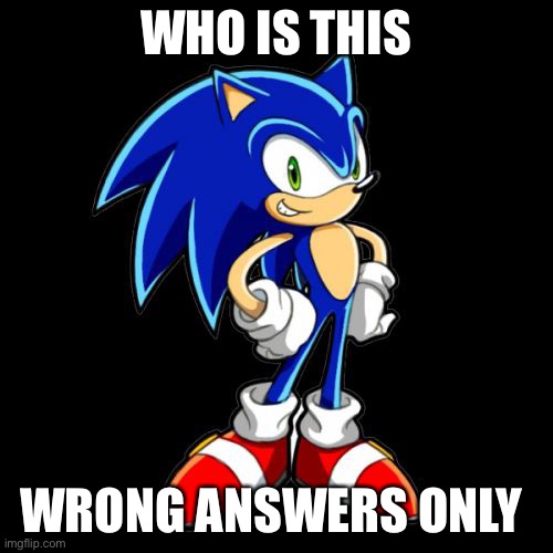 You're Too Slow Sonic | WHO IS THIS; WRONG ANSWERS ONLY | image tagged in memes,you're too slow sonic | made w/ Imgflip meme maker