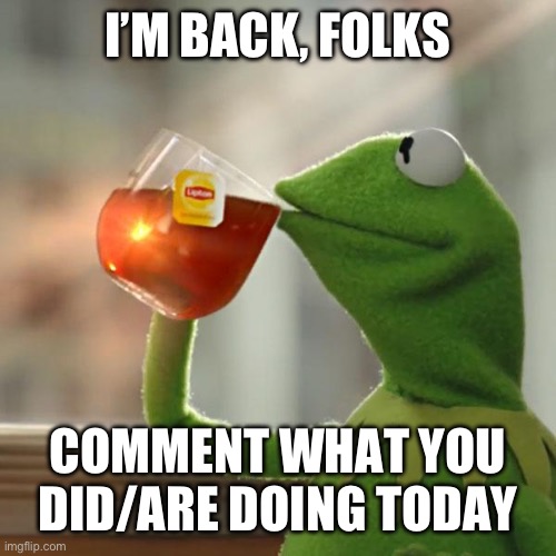 But That's None Of My Business | I’M BACK, FOLKS; COMMENT WHAT YOU DID/ARE DOING TODAY | image tagged in memes,but that's none of my business,kermit the frog | made w/ Imgflip meme maker