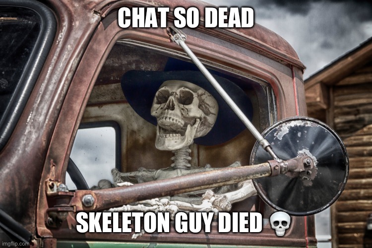 Skeleton truck driver | CHAT SO DEAD; SKELETON GUY DIED 💀 | image tagged in skeleton truck driver | made w/ Imgflip meme maker