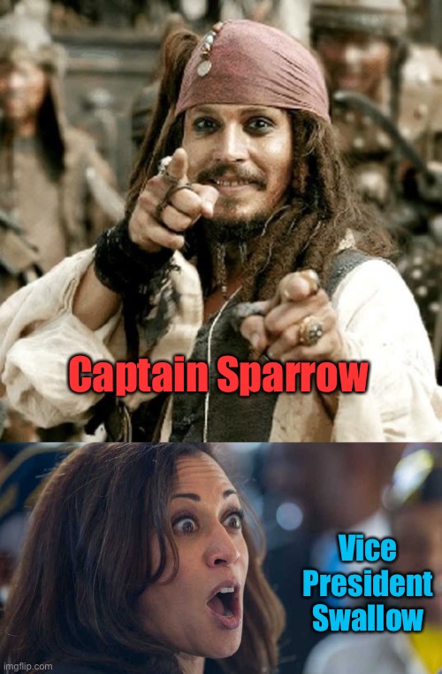 Ahoy, Matey! | Captain Sparrow; Vice President Swallow | image tagged in point jack,kamala harriss,argh | made w/ Imgflip meme maker