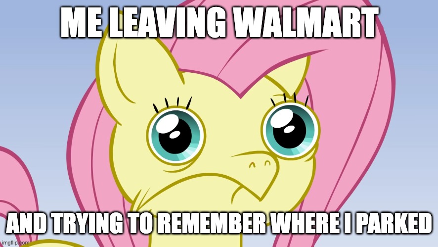 There is no place I get lost more than the parking lot of a Walmart! | ME LEAVING WALMART; AND TRYING TO REMEMBER WHERE I PARKED | image tagged in uncomfortable fluttershy,memes,walmart,parking | made w/ Imgflip meme maker
