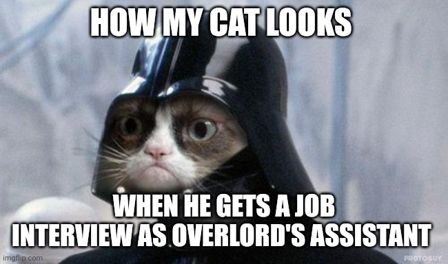 Cat interviews for overlord's assistant | HOW MY CAT LOOKS; WHEN HE GETS A JOB INTERVIEW AS OVERLORD'S ASSISTANT | image tagged in memes,grumpy cat star wars,grumpy cat | made w/ Imgflip meme maker