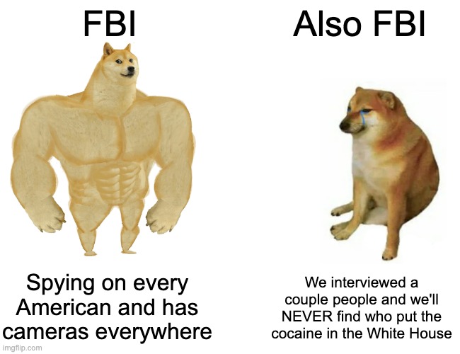 Buff Doge vs. Cheems | FBI; Also FBI; Spying on every American and has cameras everywhere; We interviewed a couple people and we'll NEVER find who put the cocaine in the White House | image tagged in memes,buff doge vs cheems | made w/ Imgflip meme maker