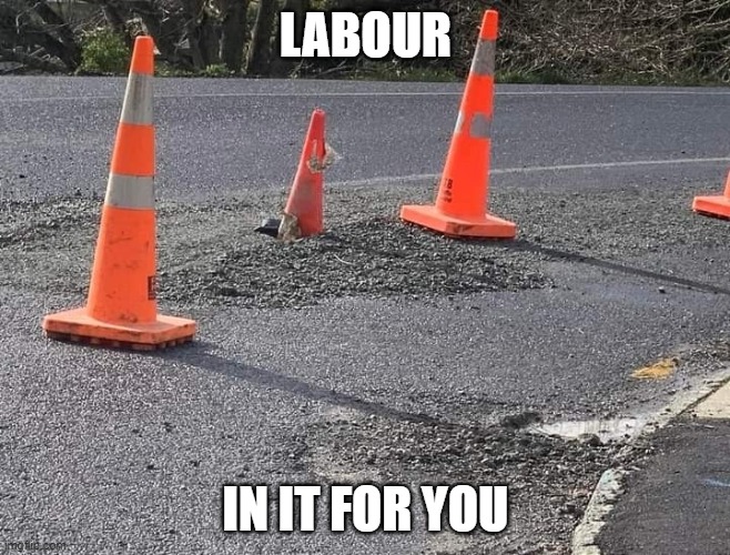 LABOUR; IN IT FOR YOU | image tagged in ConservativeKiwi | made w/ Imgflip meme maker