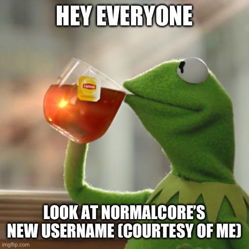 But That's None Of My Business | HEY EVERYONE; LOOK AT NORMALCORE’S NEW USERNAME (COURTESY OF ME) | image tagged in memes,but that's none of my business,kermit the frog | made w/ Imgflip meme maker