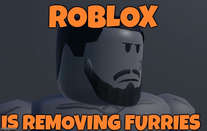 W | ROBLOX; IS REMOVING FURRIES | image tagged in w | made w/ Imgflip meme maker