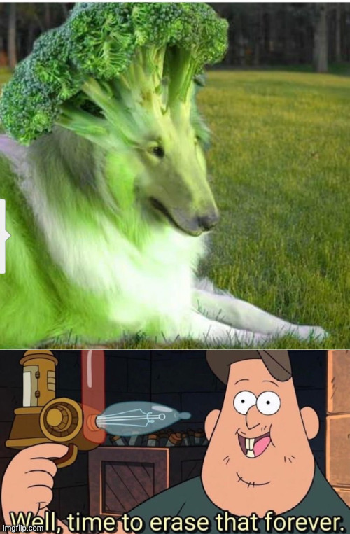 Meme #2,615 | image tagged in well time to erase that forever,cursed image,cursed,dogs,broccoli,unsee | made w/ Imgflip meme maker