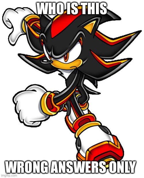 Shadow the hedgehog | WHO IS THIS; WRONG ANSWERS ONLY | image tagged in shadow the hedgehog | made w/ Imgflip meme maker