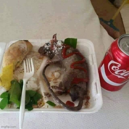 #2,616 | image tagged in food,rats,cursed,cursed image,i'm sorry what,gross | made w/ Imgflip meme maker