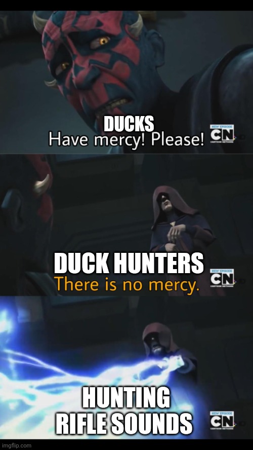There's no mercy for ducks | DUCKS; DUCK HUNTERS; HUNTING RIFLE SOUNDS | image tagged in no mercy | made w/ Imgflip meme maker